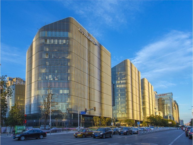 江阴发财树绿植零售